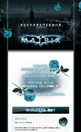 アフィリエイトフレームワーク 次世代ブラウザ・マトリックス(Matrix) ブラウザ操作が登録できる自動操作ウェブブラウザ・マトリックス☆